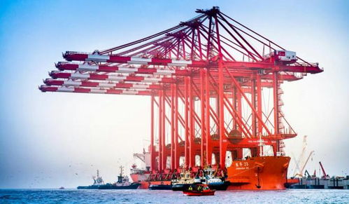 制造業(yè)終于迎來大模型 上海工廠向東南亞梯度轉(zhuǎn)移可能性靠此牢牢鎖死