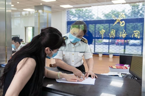 兩步申報的概要申報可以修改嗎